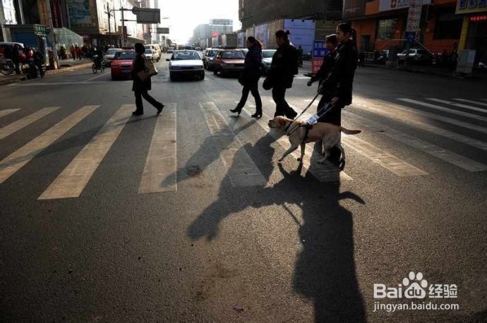 《网游十年》——NO.2 透支网游寿命的三大毒手