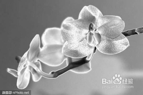 PS合成教程_ps打造复感照片效果