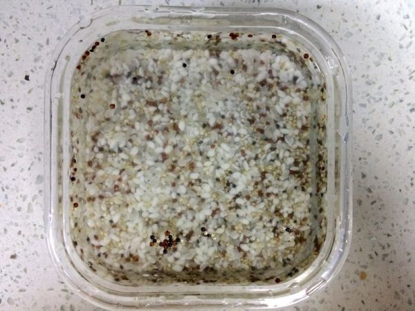 金枪鱼土豆色拉藜麦饭团