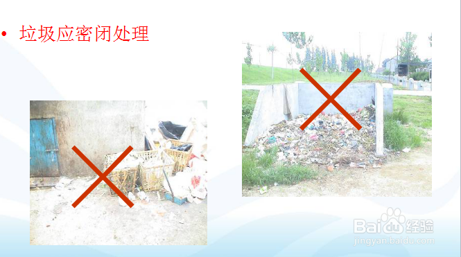 厨房有害虫怎么控制