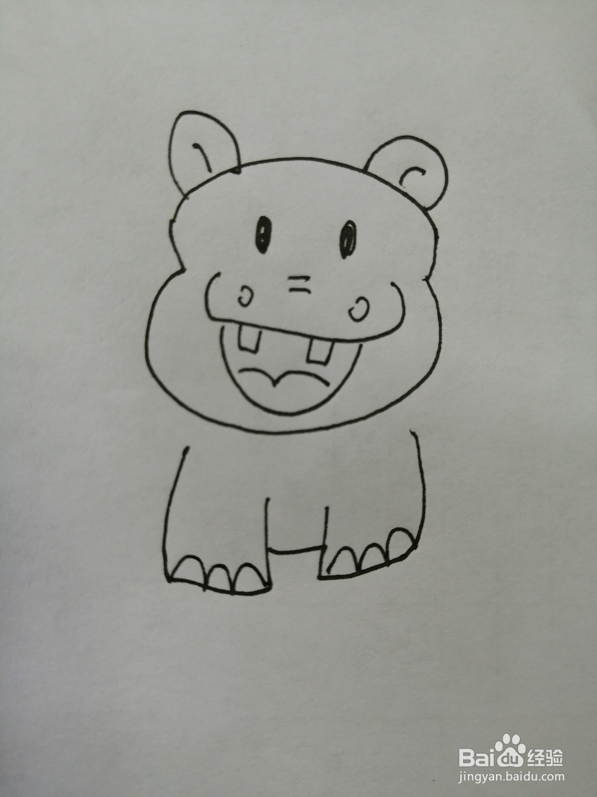 可爱的小河马怎么画