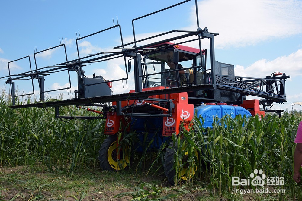 如何保养玉米喷药机?