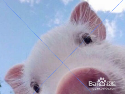 adobe illustrator cs6中如何嵌入图片