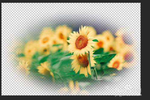 ps如何羽化图片边缘