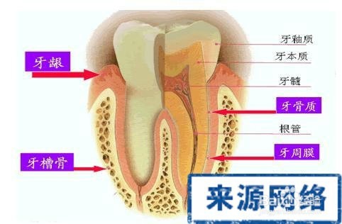 拔牙后 多久可以吃饭