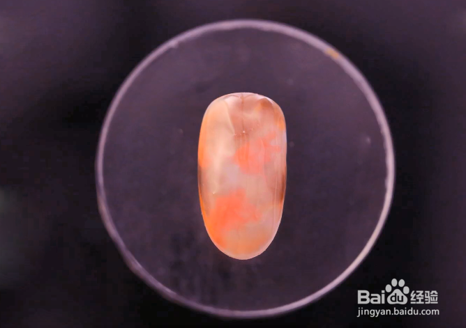 怎样做晕染小雏菊美甲?