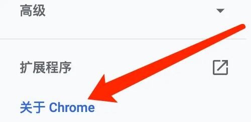 谷歌浏览器Mac版怎么查看版本号
