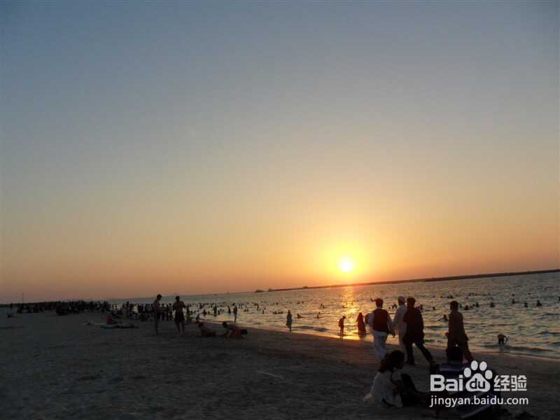 沿途的风景在我的镜头里,更在我心里 迪拜篇