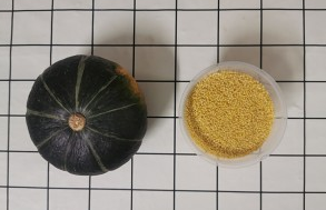 黄小米粥的做法