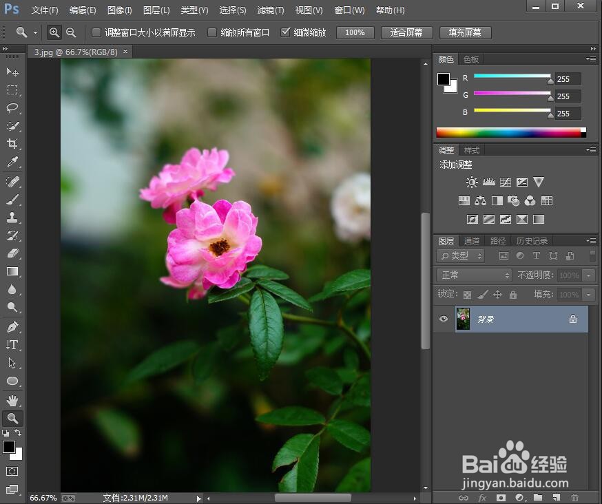 怎样在ps中给图片添加马赛克拼贴效果
