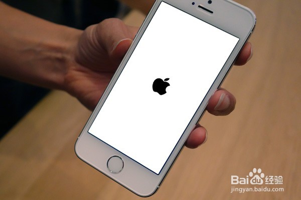 iPhone、iPad进水或掉水里怎么办