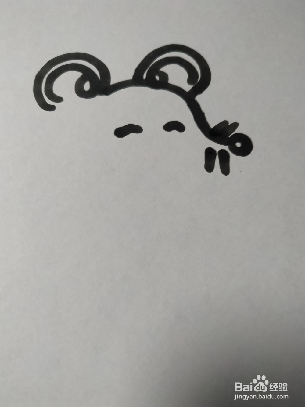 老鼠的简笔画技法36