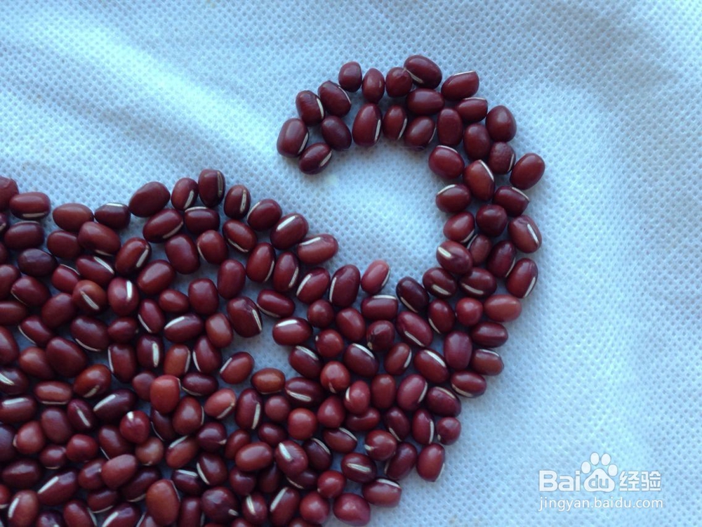 怎样画种子画--大象