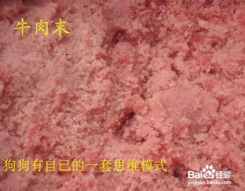 贵宾有时不吃饭是因为什么？该怎么办？