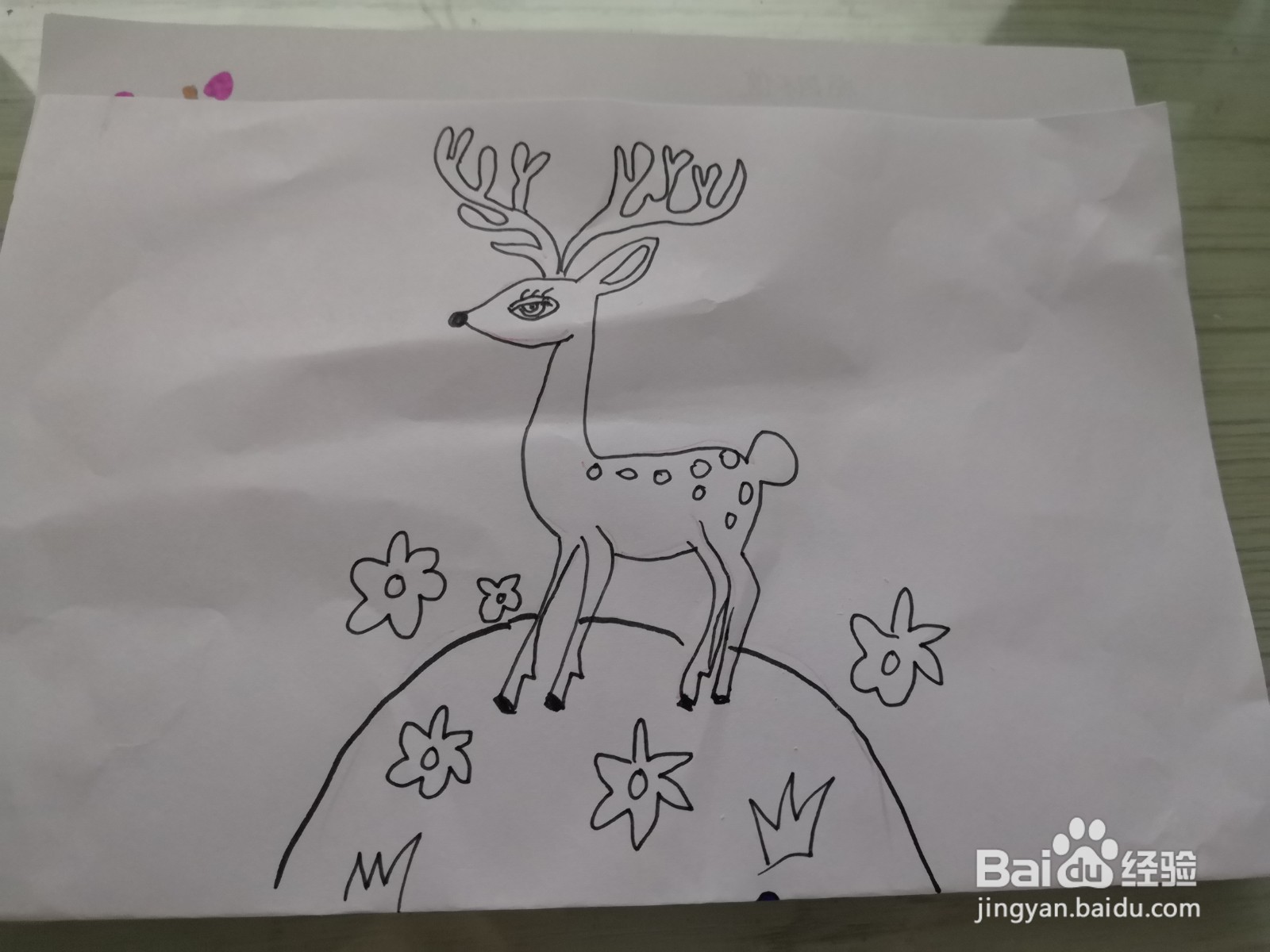 鹿简笔画图片
