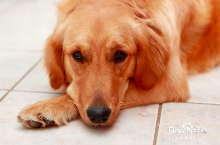 如何原谅父母的怪异脾气