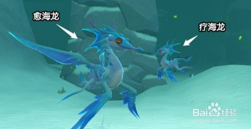 创造与魔法疗海龙饲料配方怎么获得