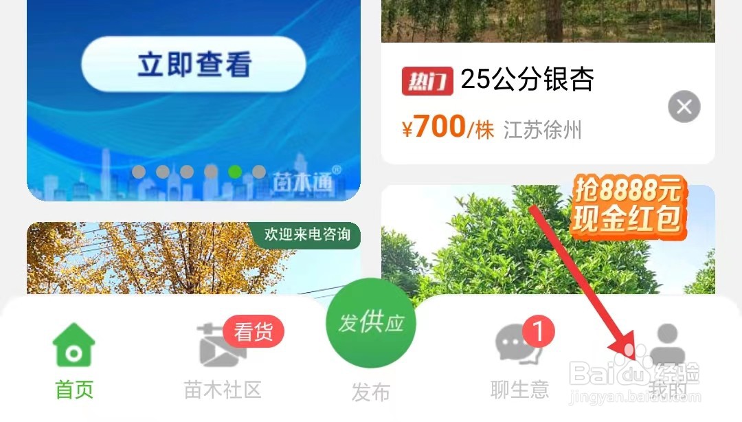 苗木通app如何查看隐私政策
