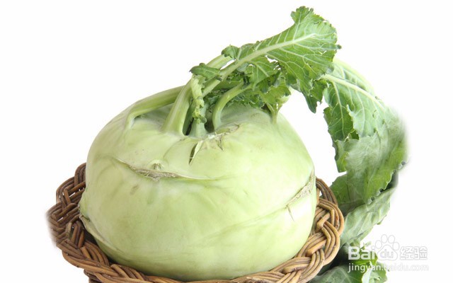 有胃病的人适合吃哪些蔬菜?