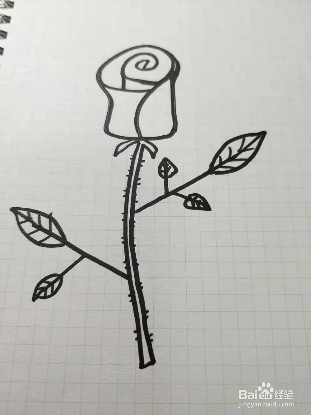 如何画玫瑰花简笔画？