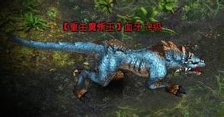 如何通关神曲轮回之境