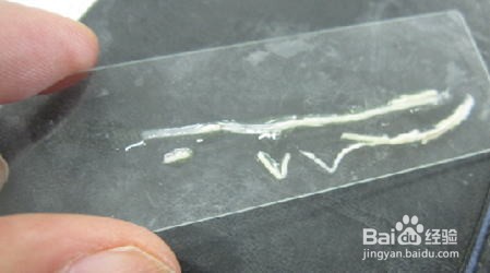 南美白对虾白便问题解决方案