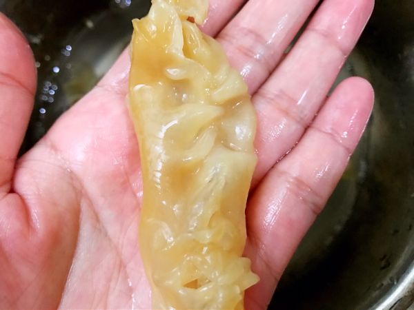 红枣枸杞花胶奶冻