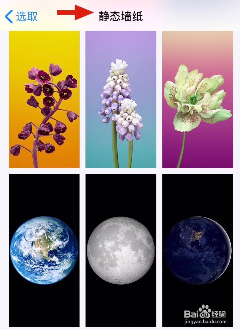 iPhone XS如何设置桌面壁纸？