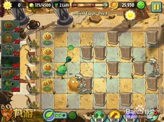【图解】手机版《植物大战僵尸2》埃及第九关