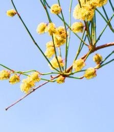 美容生活小常识1