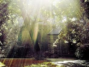 如何用手机拍出单反的效果