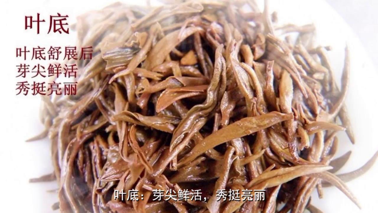 金骏眉茶有什么特点?