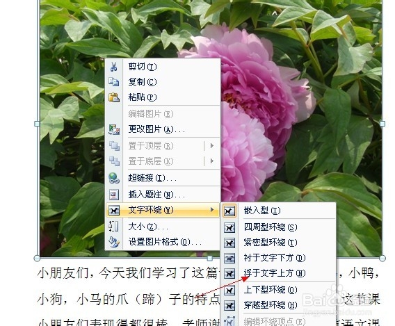 怎样在word文档中嵌入图片