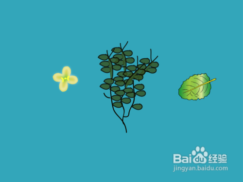 酒后头疼怎么办