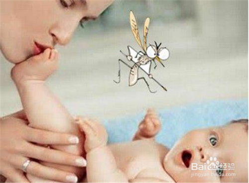 婴儿宝宝和孕产妇用什么办法驱蚊？