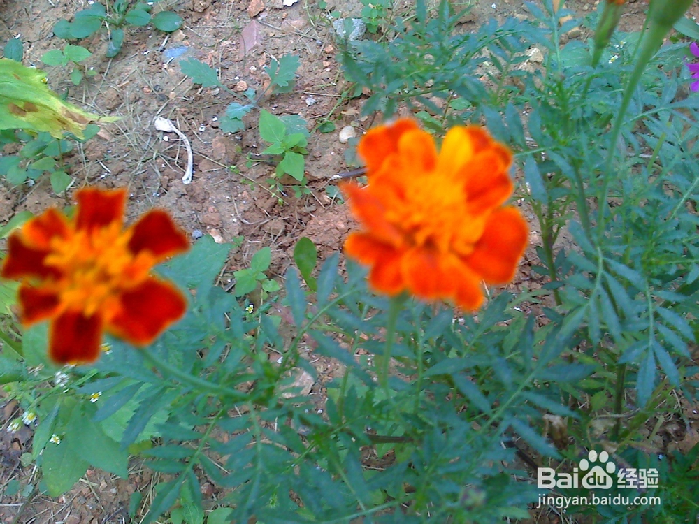 孩子性格内向初中毕业是学专业还是继续读书？