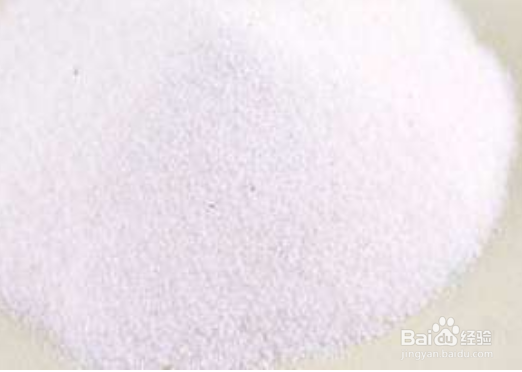 如何给仓鼠洗澡