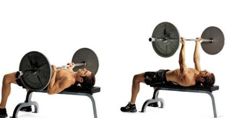 健美的饮食营养原则：[1]肌酸篇