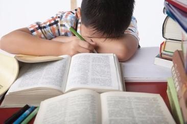 孩子学习不求甚解怎么办