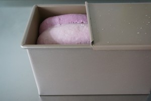 怎么做好看又好吃的马卡龙梦幻吐司