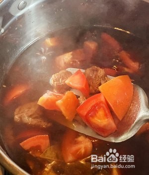 怎么做番茄土豆牛腩