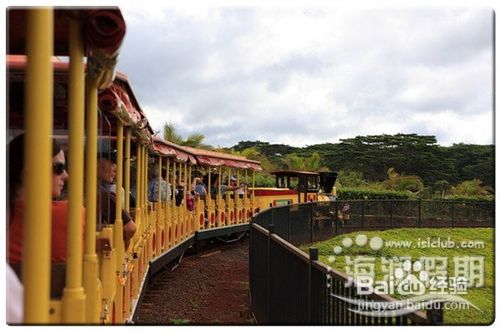 夏威夷自驾之旅