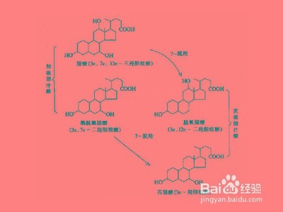 反流性胃炎症状及病因