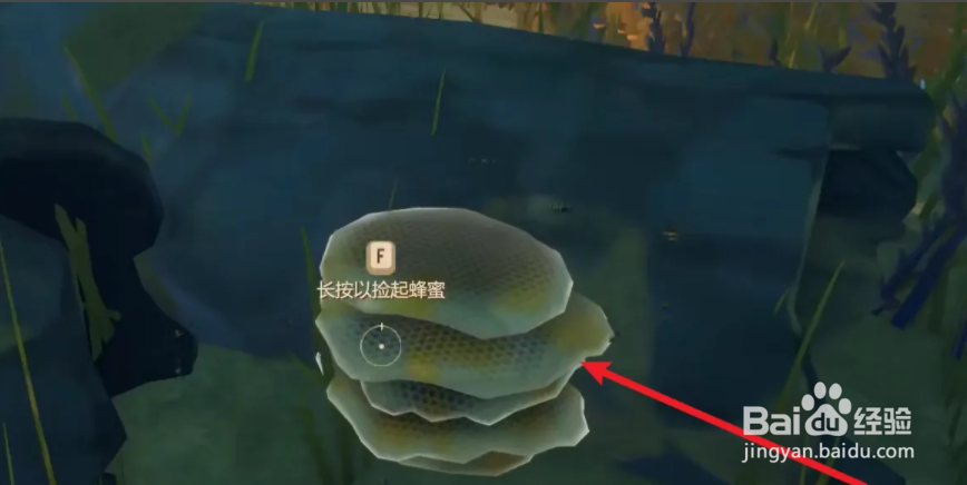 raft蜂蜜罐怎么获得