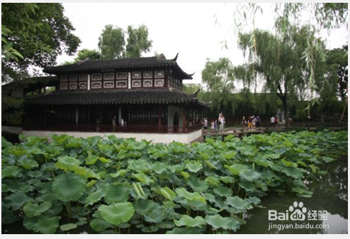 给大家介绍一下苏州的一些好玩又好看的景区