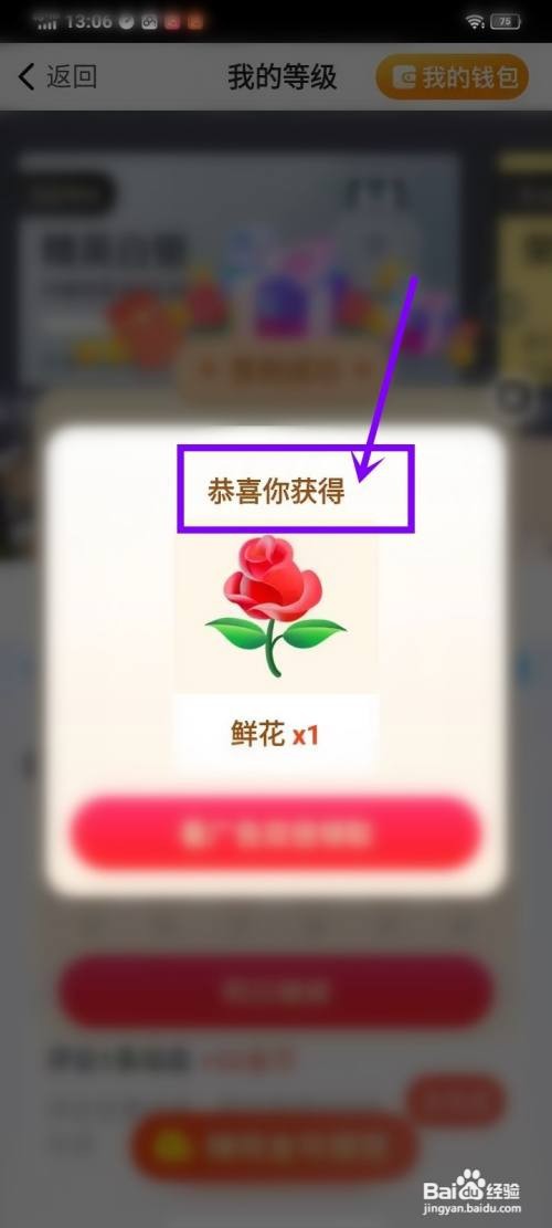 闲趣岛如何签到