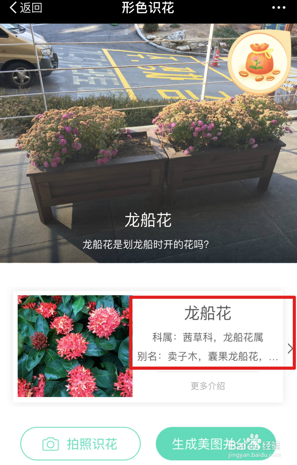 支付宝怎么识别植物和花