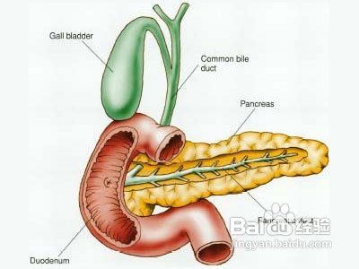 大便出血的原因——六大肛肠疾病