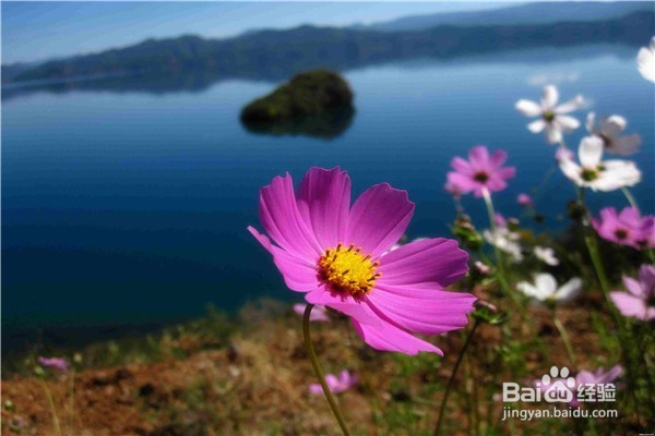 中国最佳旅行时间表攻略—你的下半年都被包了