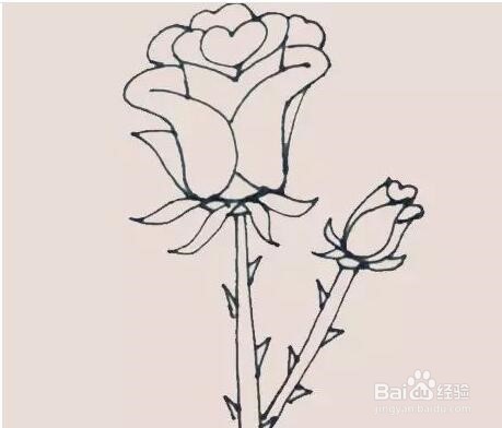 伴儿成长简笔画系列-怎样画玫瑰花简笔画